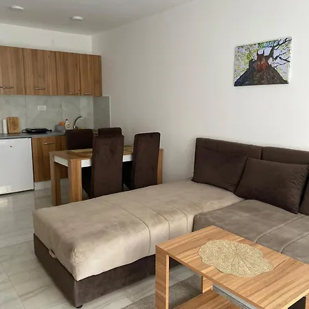 Apartment Prenociste Silver Lux Srebrno Jezero 11