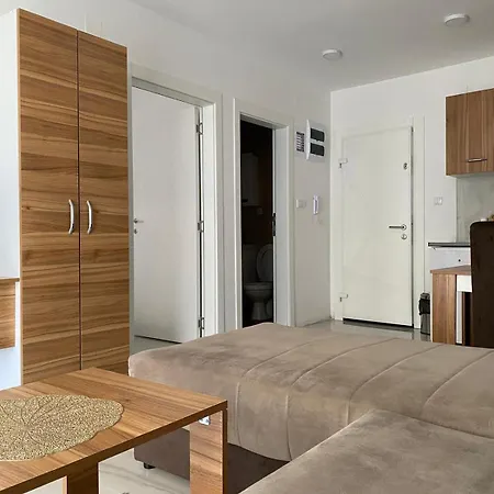 Apartment Prenociste Silver Lux Srebrno Jezero 11 *